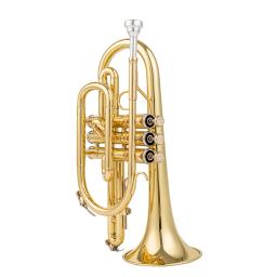 Bb Flat Gold Plated Brass Instrumento de sopro, Corneta profissional, bocal, luvas, pano de limpeza, estojo de transporte, alta qualidade - Image 3