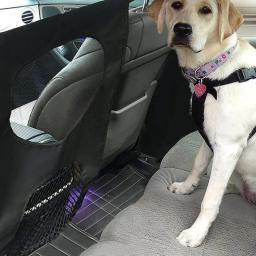 Pet Dog Rear Seat Cerca de carro, Isolamento Proteção Net, Elastic, Dupla Camada, 600DPVC Separação, Trilho de segurança, Pet Supply - Image 3