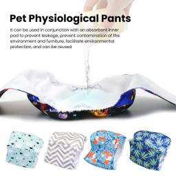 Fralda de cachorro anti mancha, calça menstrual leve com estampa dos desenhos animados, barriga elástica lavável para pet, envoltórios masculinos para cães - Image 1