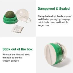 Pet Mint Catnip Toy para gatos Bola de segurança comestível Jogo de Perseguição Doméstica Saudável, Produtos de brinquedo Dentes limpos - Image 6