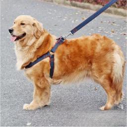 Conjunto de três peças de trela ajustável para cães, peito e coleira traseira, adequado para cães de pequeno e médio porte - Image 1