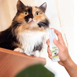 Spray para cães, Bálsamo Pata, Auxílio Cura, Reparo da Pele, Anti Coceira, Spray Hidratante para Cães, 30ml - Image 1