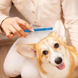 Pente dematting aço inoxidável para cães e gatos, Professional Hair Grooming Supplies, Beleza - Image 4