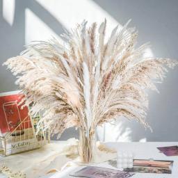 Real Natural Buquê De Flores Secas, Pampas Reed, Pequeno Reed, Rabbit Tail Grass, Home Decor, Mix and Match - Image 3