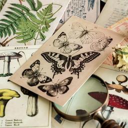 30 pçs retro antigo floresta animais plantas espécime cartão postal vintage criativo escrita cartões postais diar diários diy - Image 3