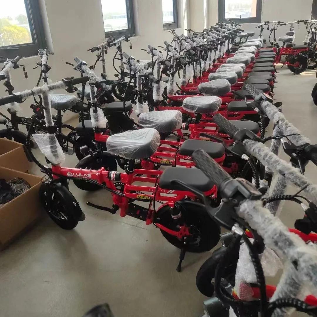 Bicicleta elétrica de íon de lítio para adultos, bicicleta leve de liga de magnésio para homens e mulheres, bicicleta assistida por energia - Image 1