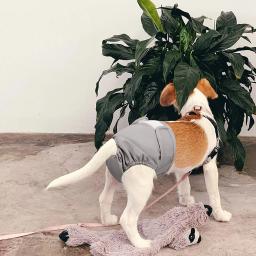 Cachorro fralda shorts para filhote de cachorro grande cão feminino calças fisiológicas sanitárias calcinha ajustável reutilizável pequeno cueca do cão cuecas - Image 5