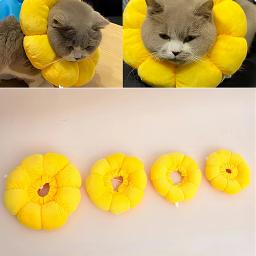 Colar de algodão macio ajustável Elizabeth para animais de estimação, Após a cirurgia, Protetor de ferida, Gatos, Evitar lamber o cabelo - Image 6