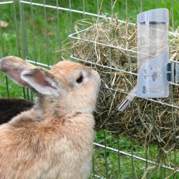 Dispensador de água em caixa para animais, sem gotejamento, alimentador para gatos, ferramenta de alimentação com gancho à prova de vazamento, suprimentos para animais, 550ml - Image 4