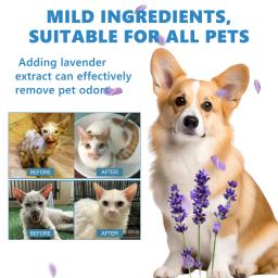 Pet Shampoo Seco Sabonete De Cabelo De Gato Alívio De Coceira Limpeza Sem Banho Assassino De ácaros De Pulga Desodorizante Antibacteriano Líquido De Remoção De Odor De Cão - Image 3