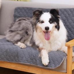 Tapete de fralda absorvente lavável para pet, Tapete de urina reutilizável para cachorro, Almofadas de urina para cães e gatos - Image 3