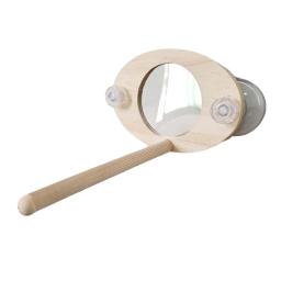 Stand com ventosa para papagaio, suporte de madeira para pássaro pequeno, gaiola de brinquedo, periquito para pombinhos e periquitos - Image 6