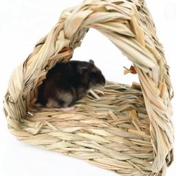 Ninho De Grama Tecido À Mão para Pequenos Animais De Estimação, Ninho De Hamster, Ninho De Descansar De Papagaio, Bird Toy, Bird House - Image 6