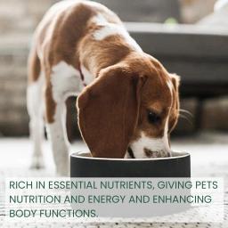 Suplementos de saúde para cães e gatos, Multi vitamina, Melhore a aptidão física, Proteger gotas para cuidados bucais do estômago, Remoção de mau hálito - Image 4
