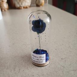 Favores Do Casamento Azul Real Personalizado Para Os Convidados, Cúpula De Vidro Cloche, Favores Do Partido, 10Pcs - Image 5