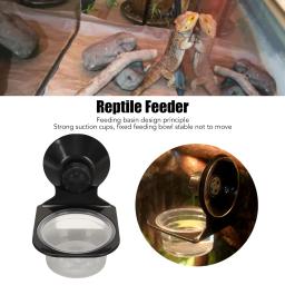 Tigela de alimentação de água e comida de répteis Multiuso, Fixo duplo, Bacia suspensa para casa, jardim, fazenda, alimentador de répteis - Image 1