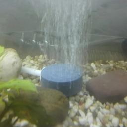 Mini Bolha Pedra Aerador para Aquário Bomba Do Tanque De Peixes Placa De Oxigênio Hidropônico Bomba De Ar Durável Acessórios de Alta Qualidade 40mm - Image 3