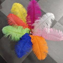 Natural Avestruz Penas para Artesanato, Decoração Do Casamento, Acessórios De Artesanato, Mesa Centerpieces, Plumas De Carnaval, Natal, 10Pcs por Lote - Image 4