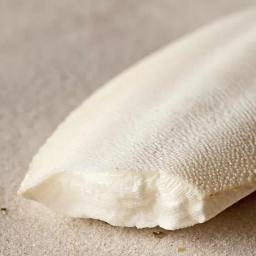 Suplementos naturais de cálcio para papagaio, Chew Osso Chew Brinquedos, Cockatiel Parrot Parrot - Image 6