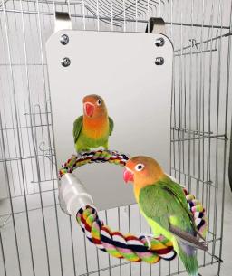 Pássaro Espelho com Poleiro Gaiola Swing Toy, Araras Finches, Pequeno Periquito, Corda Suporte para Papagaio, Pet Shop - Image 1