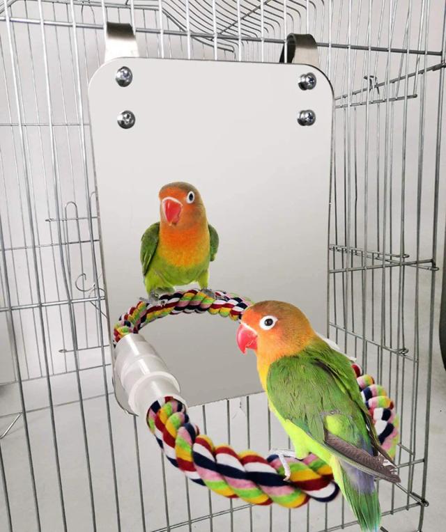 Pássaro Espelho com Poleiro para Gaiola Swing Toy Ideal para Araras, Finches e Periquitos com Corda Suporte para Papagaio