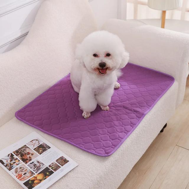 Cama de Treinamento para Cachorro: Tapete Reutilizável e Lavável para Urina e Conforto Animal
