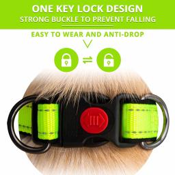 Ajustável Nylon Neck Collar para cães, coleiras tampa, conjunto de tração, correntes reflexivas, Pet fornecimentos, grande, médio, pequeno - Image 3