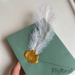 10 pçs/lote pena de avestruz para artesanato fotografia adereços jóias fundo diy festa de casamento decoração apanhador de sonhos acessórios - Image 2