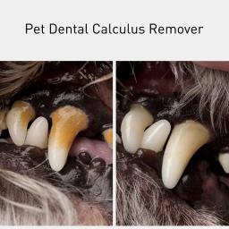 Ferramentas de limpeza dupla face dentes para animais de estimação, cães e gatos removedor de tártaro dental pedras escova de dentes, aço inoxidável raspador Pet Supplies - Image 3
