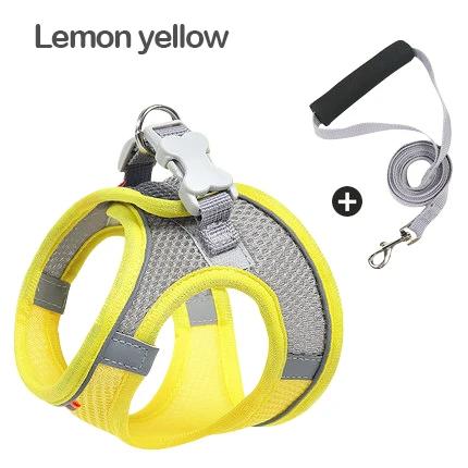Conjunto de Coleira e Arnes para Cães Pequenos e Médios, Respirável e Ajustável, Ideal para Caminhadas ao Ar Livre, com Detalhes Reflexivos