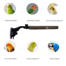 Wooden Parrot Perch Stand com ventosas para aves pequenas e médias, Evitar deslizamento, Interactive Window Perch - Image 5