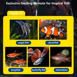 Ração Granular Especial para Peixe-Anjo Alemão, Colorido, Cor Natural Melhora, Comida Camaleão Tropical, 30g - Image 6