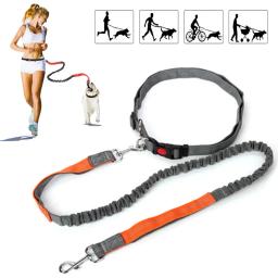 Trela retrátil do cão com corda da cintura ajustável mão livre correndo correndo ciclismo grandes cães pet elasticidade chumbo suprimentos para animais de estimação - Image 1