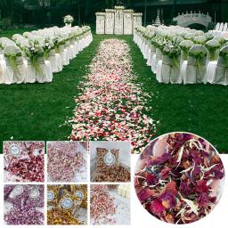 Confete de pétala natural para casamento, flores secas, pop biodegradável, chuveiro nupcial, festa de férias, DIY Deco Rose, 100g, 10PCs - Image 3
