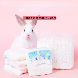 Super absorção calças fisiológicas fraldas para cães pequenos fêmea cão coelho descartável leakproof fraldas filhote de cachorro 10 pçs/set - Image 1