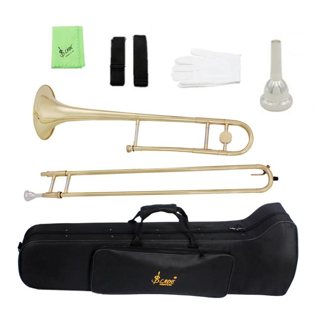 Saxofone Alto Bb Profissional em Laca Dourada com Corpo de Bronze e Boquilha Case Inclusa