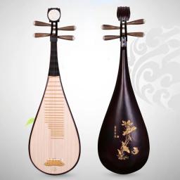 Pipe Beginner Chinês Tradicional Alaúde Music Instrument, Oriental Instrumentos de Cordas, Alaúde com Acessórios, Música Profissional - Image 2