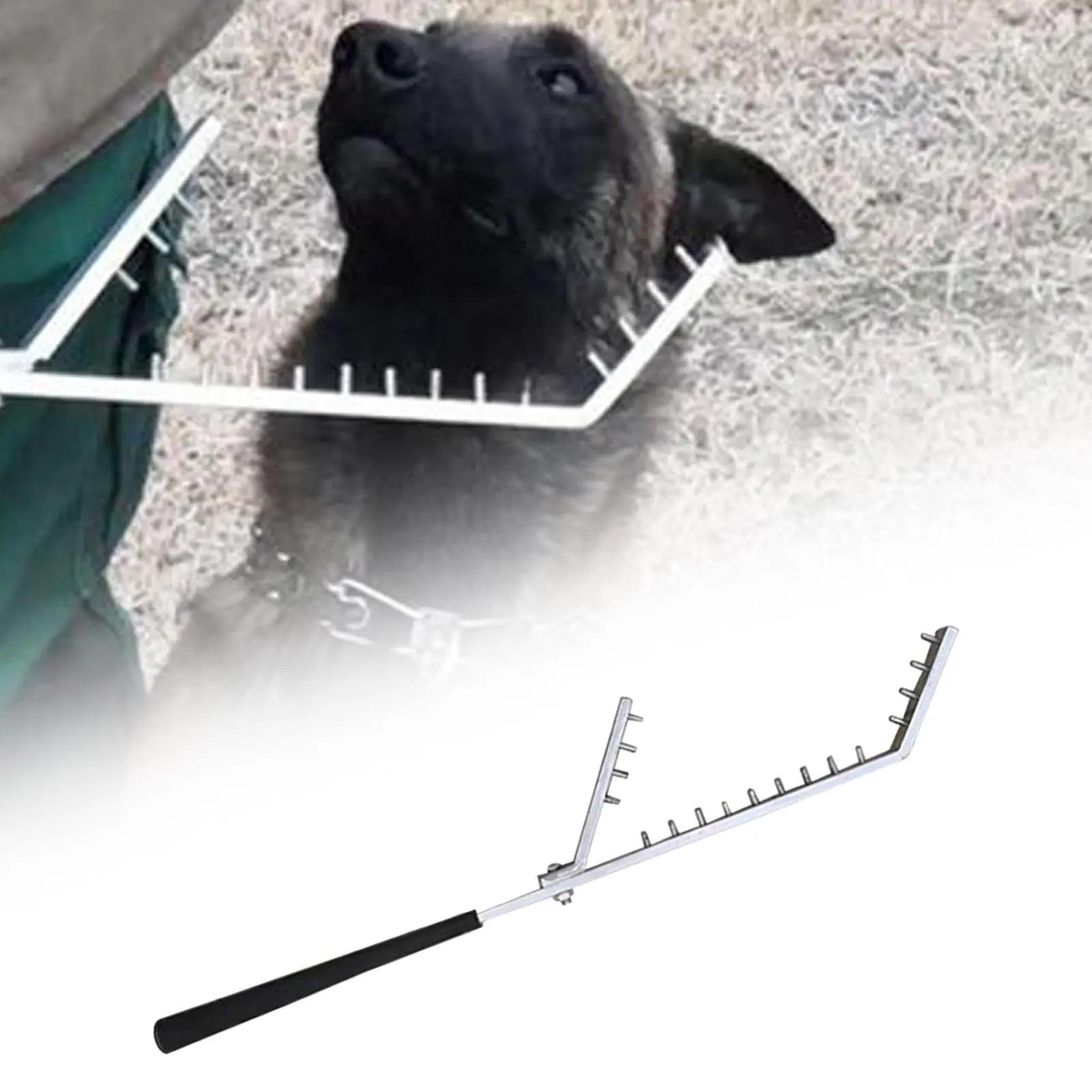 Leve bastão de treinamento para cães Equipamento de treinamento para cães Ferramenta de treinamento de cachorro resistente ao ar livre e interior - Image 1