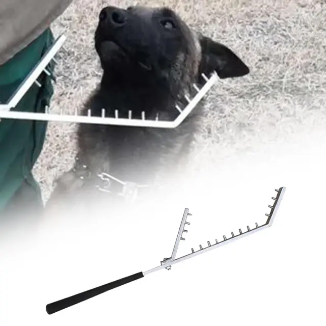 Bastão de Treinamento para Cães: Ferramenta Resistente para Exercícios ao Ar Livre e em Casa