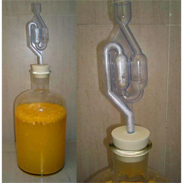 Válvula de Retenção para Fermentação de Vinho e Cerveja Caseira - Airlock Ecológico com Vedação de Água e Escape de Plástico