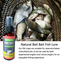 Peixe Lure Agent, Cheiro de peixe, Pheromone Food Attractant, Rio selvagem Pesca Carpa Crucian, Arenque atração Spray - Image 3