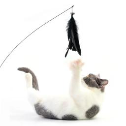 Gato Teaser Vara com Sino, Vara Longa Pena, Ventosa, Puzzle Toy, Pet Suprimentos, Pet Provocando - Image 2