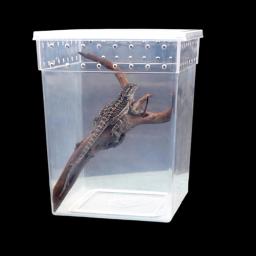 Caixa de alimentação para répteis, caixa de tarântula, tanque de tartaruga, aquário, lagarto, gaiola de habitat para sapo, aranha, gecko, tarântulas - Image 5