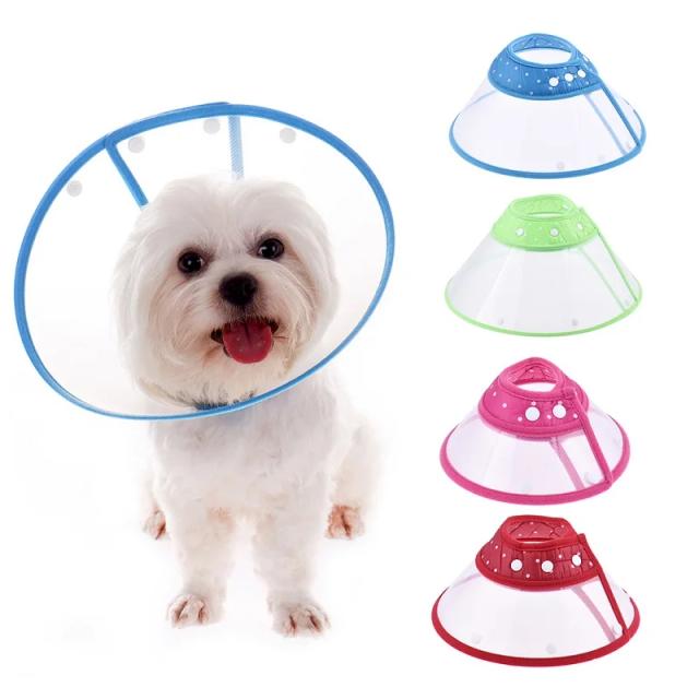 Coleiras Elizabetanas para Recuperação de Cães e Gatos: Proteja Feridas e Evite Mordidas Após Cirurgias