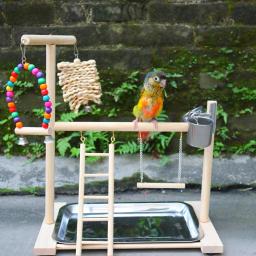 Suporte de poleiro para playground de pássaros, copos de alimentação, escada de escalada, suporte para papagaio, exercício playgym para periquito, calopsita loveb - Image 1