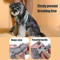 MADDEN-Dog Harness Vest Set, Cat Chest Rope, reflexivo, respirável, ajustável Pet Harness para cães pequenos e médios, caminhada ao ar livre - Image 4