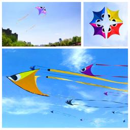 Professional Kites Flying Dragon Kite, Kitesurf Winder, Outdoor Sports Toys, Frete Grátis, City Elf - Image 1