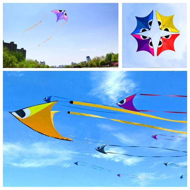 Pipa Profissional Dragon Kite para Kitesurf com Winder, Brinquedos para Esportes ao Ar Livre, Frete Grátis