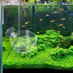 Prato de alimentação de camarão mini tamanho Tanque de peixes do aquário Alimentador de répteis Tigela com ventosa Material acrílico - Image 2