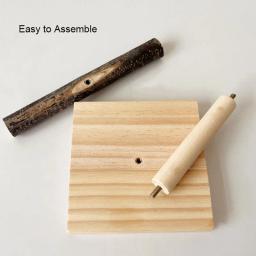 Suporte de mesa natural para animais de estimação, papagaio, madeira bruta, garfo, ramo de árvore, rack, esquilo, pássaro, hamster, poleiros, brinquedos de mordida de mastigar - Image 6